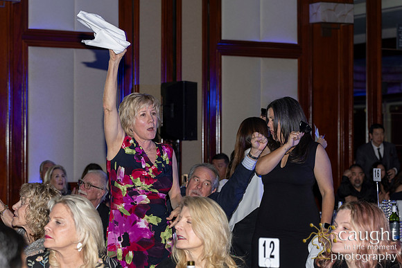 734 Dancing for Our Stars 2026