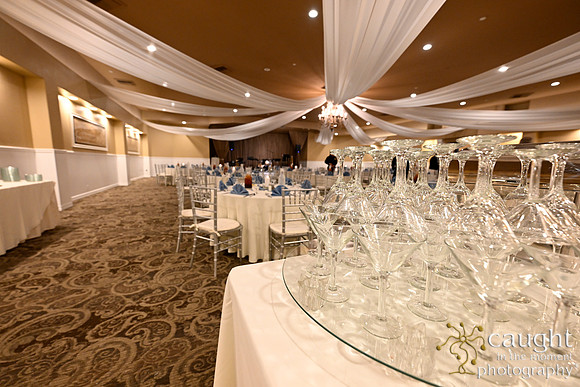 321 Rasmussen Wedding - Reception