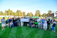 002 Baseball Game Check Presentation