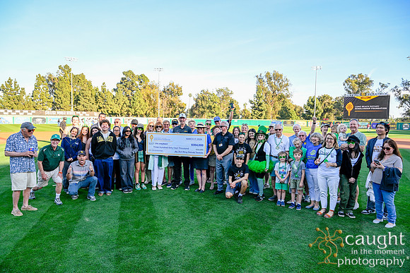 002 Baseball Game Check Presentation