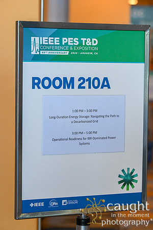 1347 IEEE PES TandD Anaheim 2024