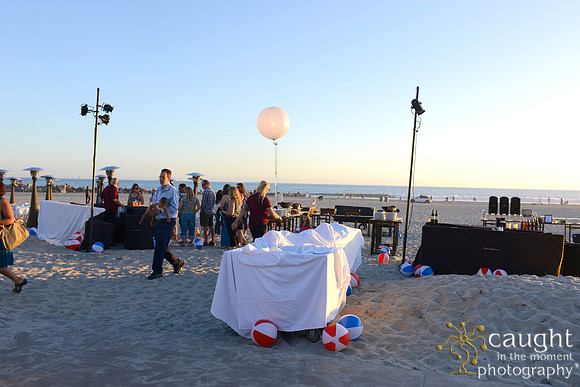 075 Dermatology Forum for Veterinarians 2014 Hotel del Coronado
