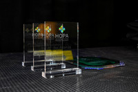 864 HOPA 2026 - Incoming President's Address