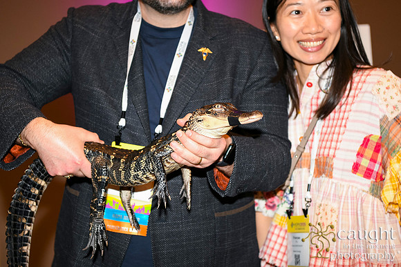 954 HOPA 2026 - Closing Reception