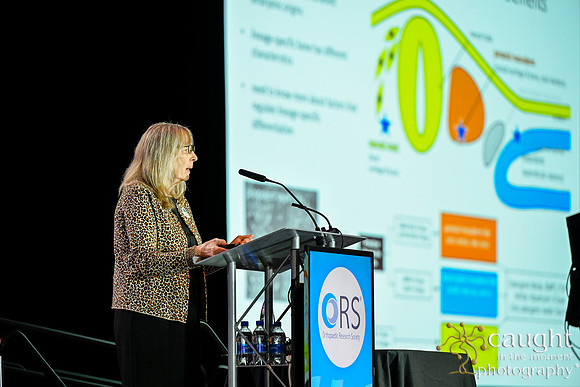 685 ORS2026 Charlotte Convention Center