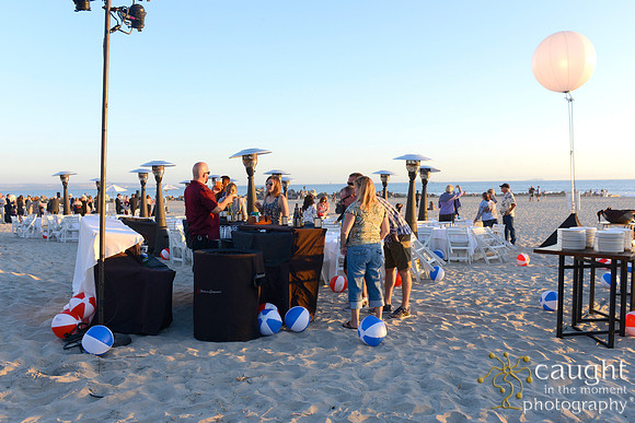 076 Dermatology Forum for Veterinarians 2014 Hotel del Coronado