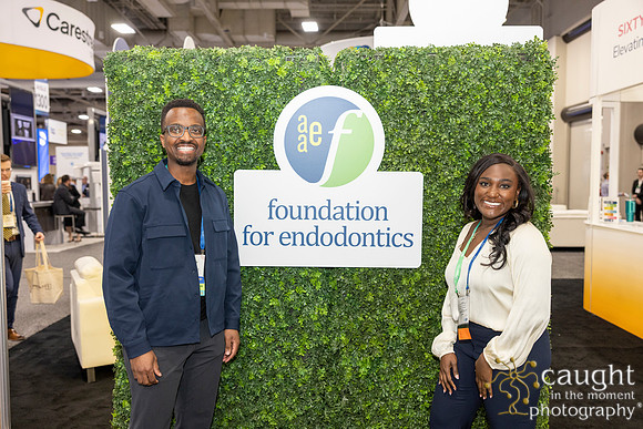 100 AAE Foundation for Endodontics 2026