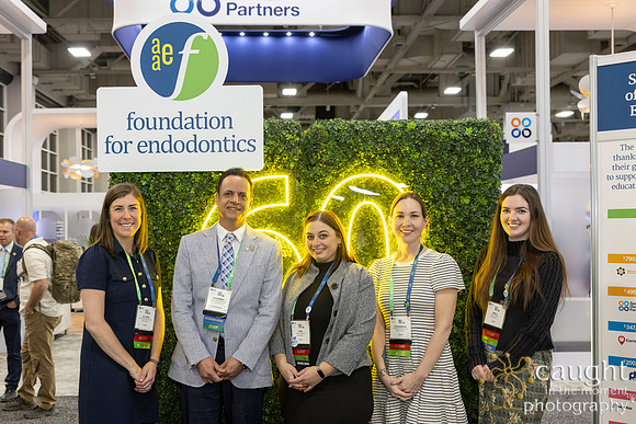 163 AAE Foundation for Endodontics 2026