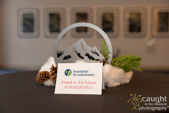 197 AAE Foundation for Endodontics 2026