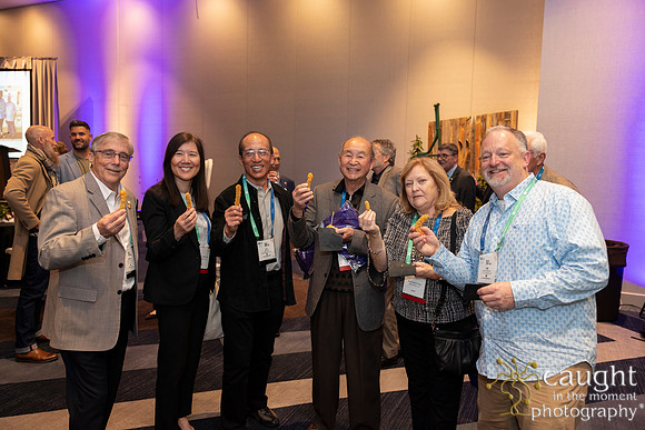 243 AAE Foundation for Endodontics 2026