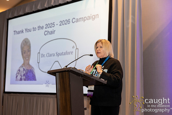 251 AAE Foundation for Endodontics 2026