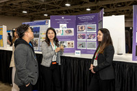 348 AAE Foundation for Endodontics 2026