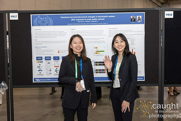 351 AAE Foundation for Endodontics 2026