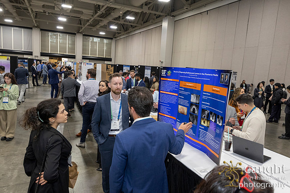 371 AAE Foundation for Endodontics 2026