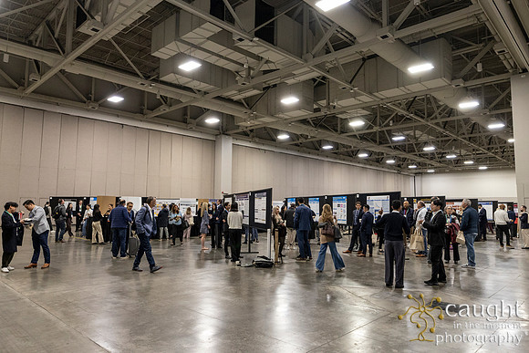 373 AAE Foundation for Endodontics 2026
