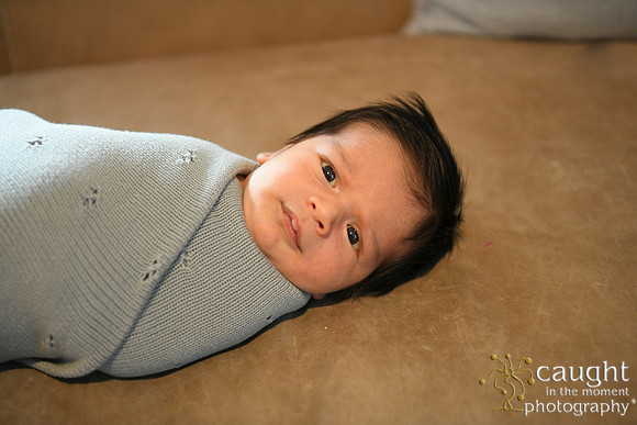 034 Newborn Lou Fisher 2026