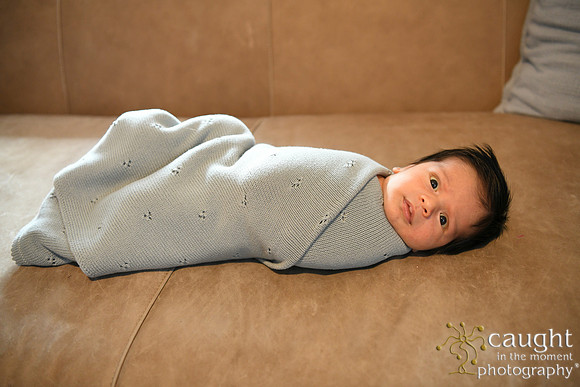 035 Newborn Lou Fisher 2026