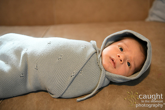036 Newborn Lou Fisher 2026