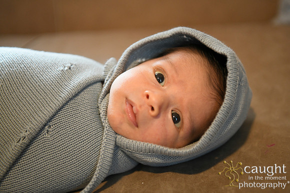 038 Newborn Lou Fisher 2026