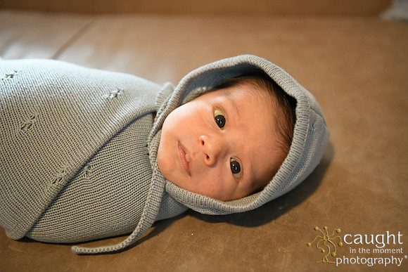 039 Newborn Lou Fisher 2026