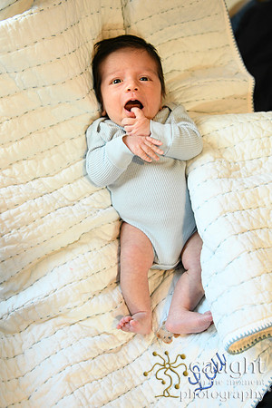 064 Newborn Lou Fisher 2026