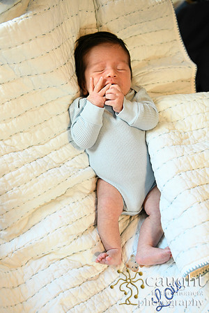 065 Newborn Lou Fisher 2026