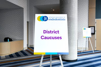 1306 AAE26 in Salt Lake City - District Caucuses