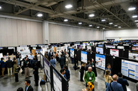 1396 AAE26 in Salt Lake City - Posters