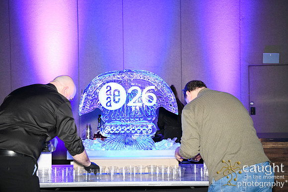 2016 AAE26 in Salt Lake City - Celebrate Salt Lake City