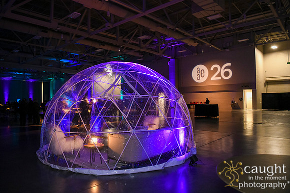 2018 AAE26 in Salt Lake City - Celebrate Salt Lake City