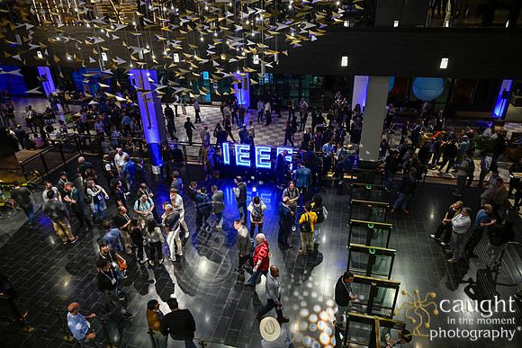 010 RUSH IEEE PESTD 2026