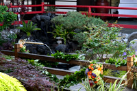 006 Davis Wedding at Yamashiro Hollywood