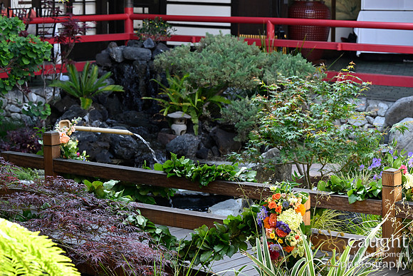 006 Davis Wedding at Yamashiro Hollywood