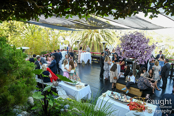 131 Davis Wedding at Yamashiro Hollywood