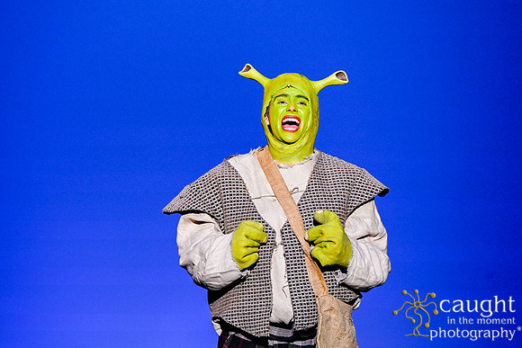 140 ShrekWeirdos