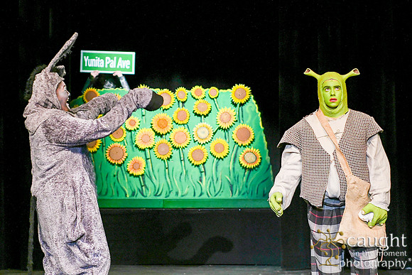 113 ShrekWeirdos