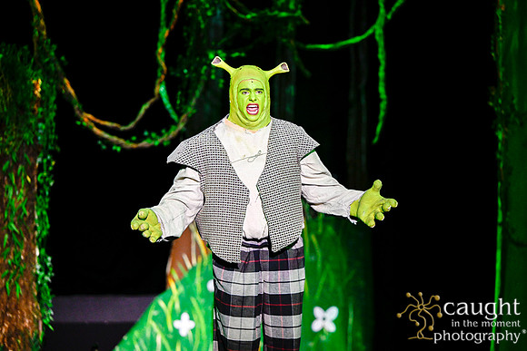 008 ShrekWeirdos
