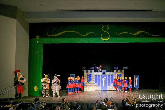 091 ShrekWeirdos