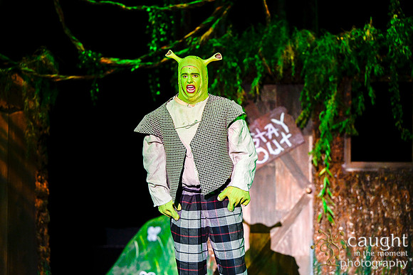 007 ShrekWeirdos