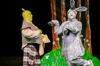 041 ShrekWeirdos