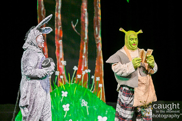 039 ShrekWeirdos