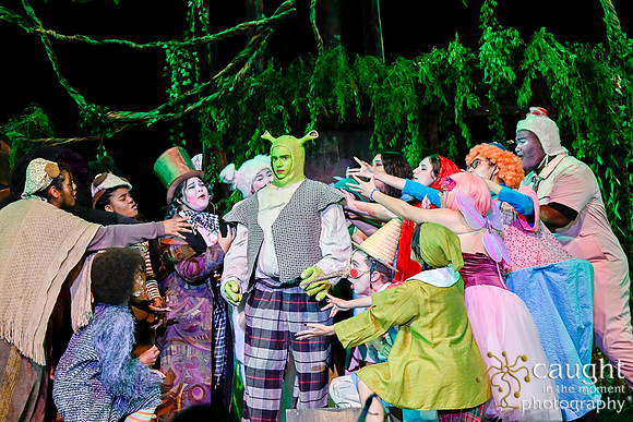 032 ShrekWeirdos