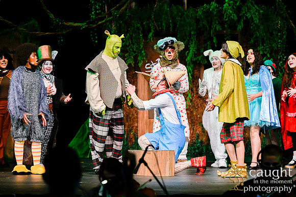 031 ShrekWeirdos