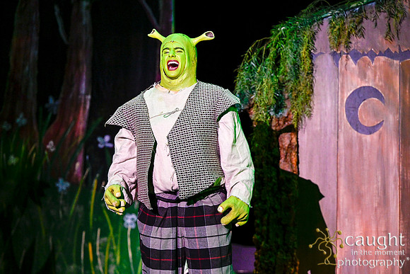 011 ShrekWeirdos