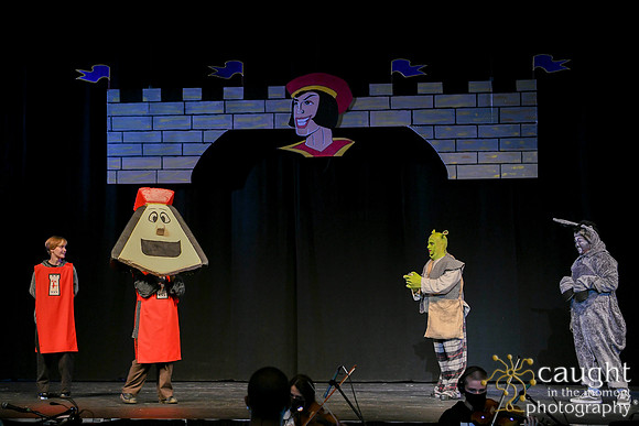 065 ShrekWeirdos