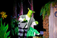 010 ShrekWeirdos