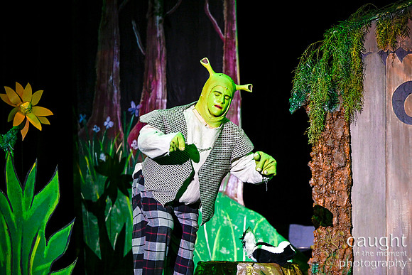 010 ShrekWeirdos