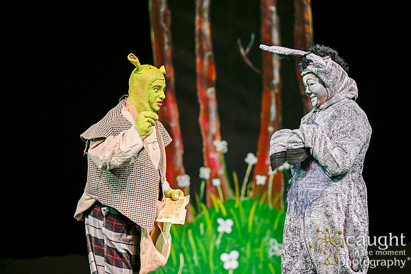 043 ShrekWeirdos