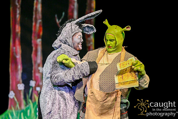 047 ShrekWeirdos