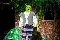 009 ShrekWeirdos